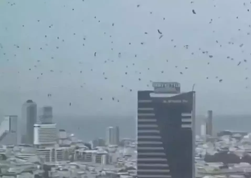 Ribuan Burung Gagak Penuhi Langit Tel Aviv - Israel, Warga Dihebohkan Fenomena Tak Biasa